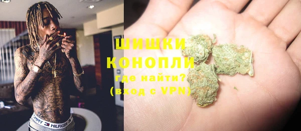спайс Алзамай