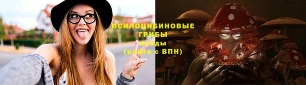 спайс Алзамай
